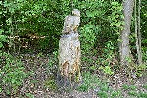 Schleswig-Holstein, Mildstedt, Naturerlebnisraum NIK 6534.jpg