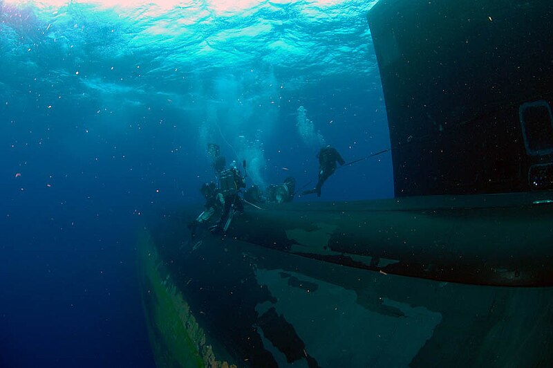 File:Seals training the the entering into a submarine.jpg