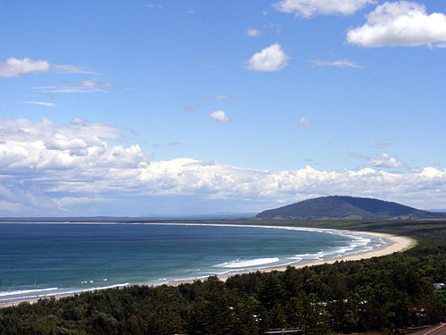 Seven Mile Beach things to do in Greenwell Point NSW