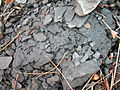 Shale 8040.jpg