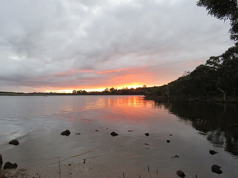 File:Shell Bay, King River, at sunset, April 2022 02.jpg