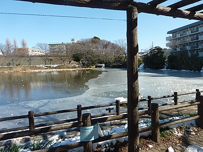 さいたま市立白幡中学校