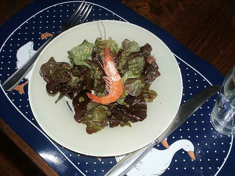 File:Shrimp Salad.JPG