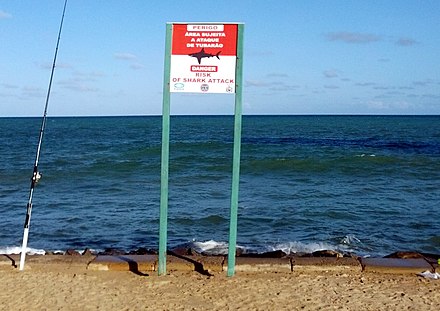 Sign that raises the attention for sharks