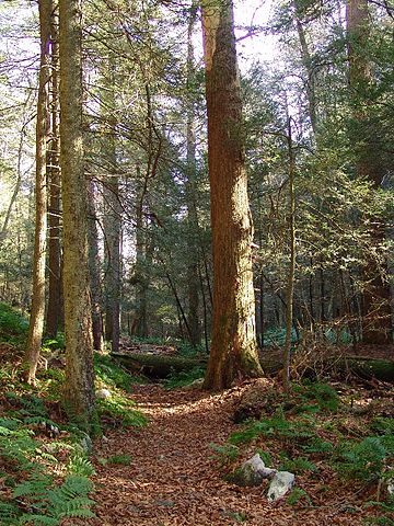 Xã Spring, Quận Snyder, Pennsylvania