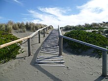 Figure 4: Walkway over New Brighton Sand Dunes Spencer Park 2.JPG