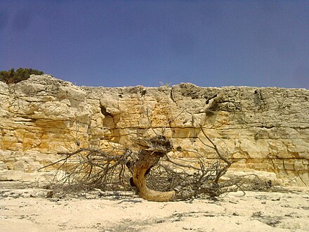 The cliffs at Srebrena Beach