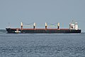 English: Bulk carrier Star Canopus with tugboat Svitzer Mjølner near Fredericia.