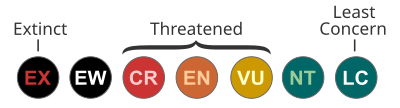 Миниатюра для Файл:Status iucn3.1.svg