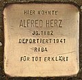 Stolperstein für Alfred Herz (Monheim am Rhein).jpg