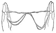 Thumbnail for File:String Figures and How to Make Them (page 255 fig 489 crop).jpg