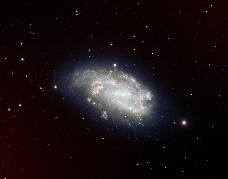 File:Supernova 2005dh and Spiral Galaxy NGC 1559.jpg