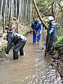 2014年4月15日 (火) 16:13時点における版のサムネイル