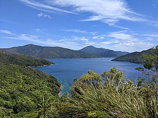 <span class="mw-page-title-main">Blackwood Bay</span> Locality in New Zealand