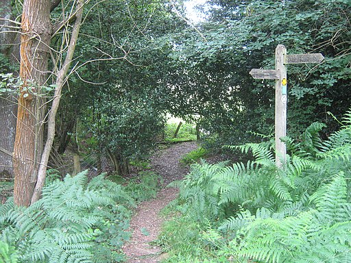 Tandridge Border Path meets Sussex Border Path - geograph.org.uk - 2506881