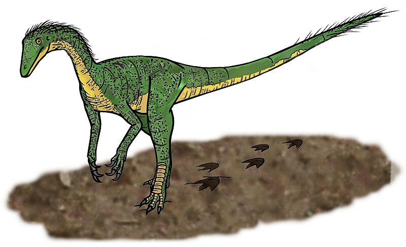 File:Tawa hallae dino 01.JPG