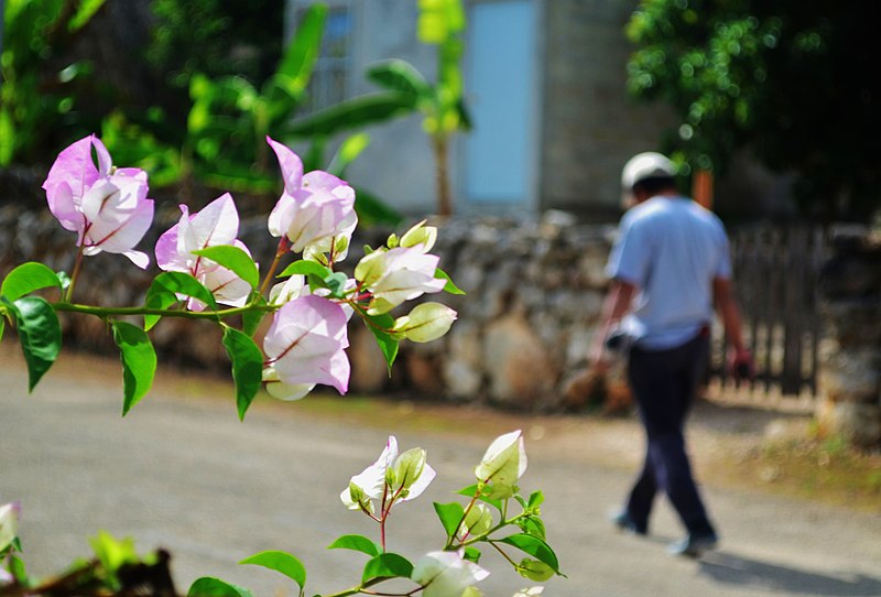 File:Tekom, Yucatán 01.jpg