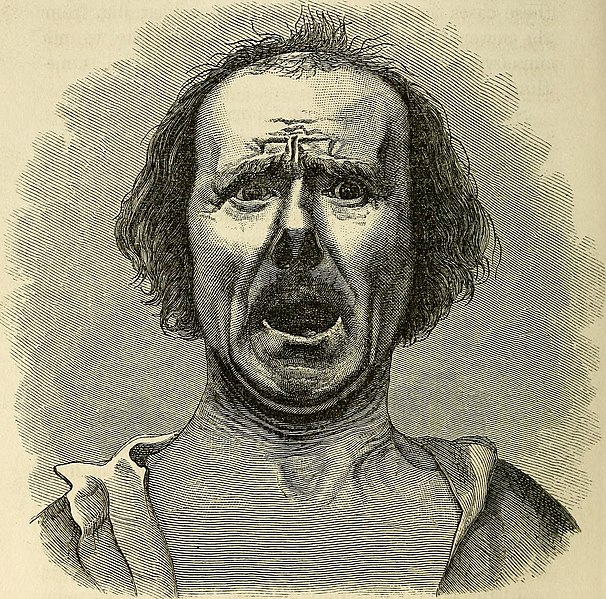 File:The expression of the emotions in man and animals (1872) (14771346374).jpg