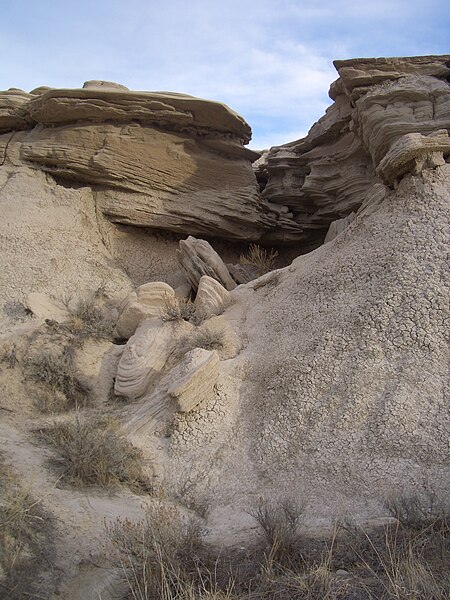 File:Toadstool Geologic Park, 13 March 2007, no. 11.jpg