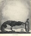 Fenrir bijt de hand van Tyr af, John Bauer, 1911