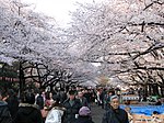 Ueno park.jpg