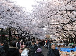 Ueno-Park.jpg