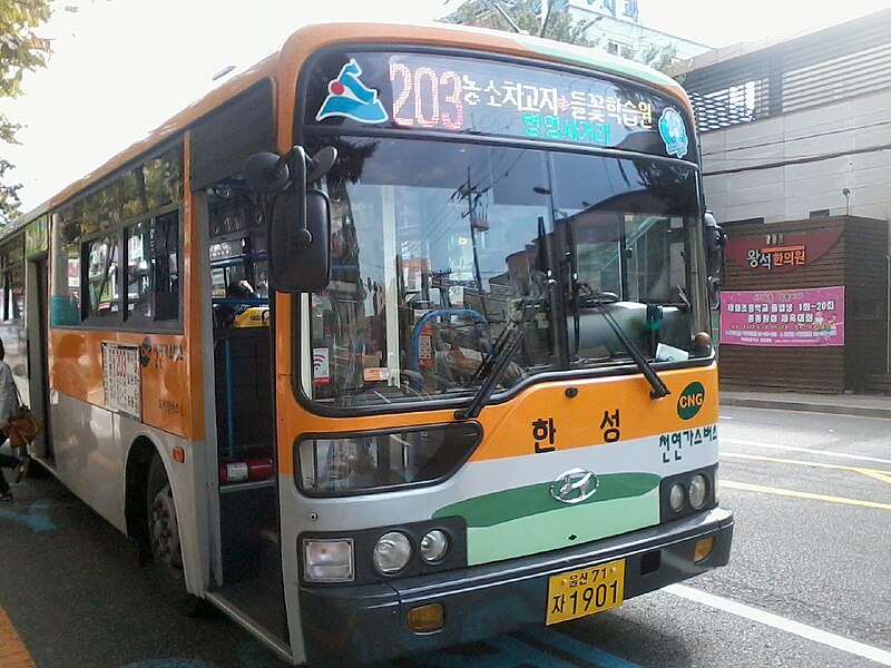 File:Ulsan Bus 203 - Hanseong Traffic.jpg