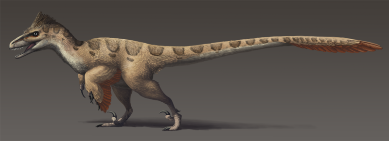 File:Utahraptor ostrommaysorum update2.png