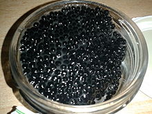 A jar of vegetarian imitation caviar made from L. hyperborea. Vegetarian caviar from algae 'Laminaria hyperborea' (in jar).jpg