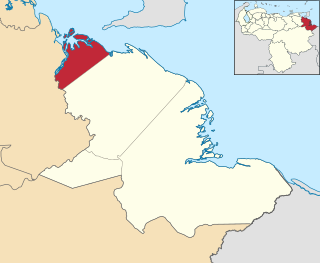 Pedernales Municipality Municipality in Delta Amacuro, Venezuela