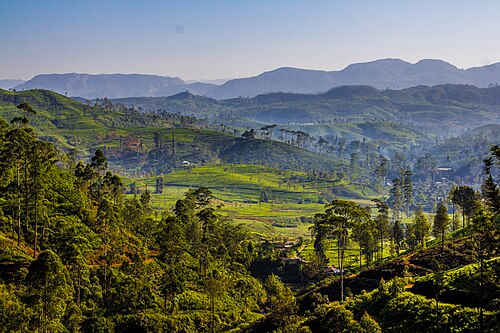 View of Mountains around Hatton.jpg