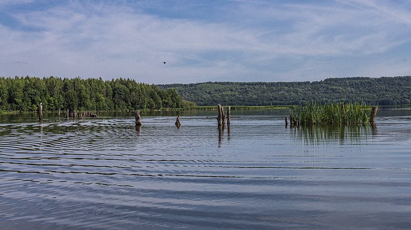 File:Vorotynsky District, Nizhny Novgorod Oblast, Russia - panoramio (3).jpg