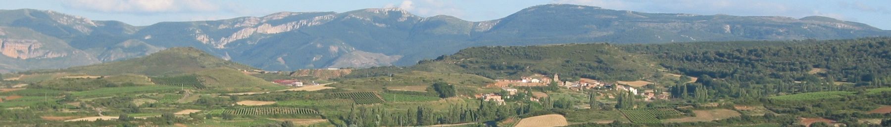 WV banner La Rioja View of Medrano.jpg
