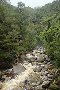 <span class="mw-page-title-main">Wainui River (Tasman)</span> River in New Zealand