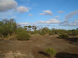 Wallaroo-mines-0749.jpg