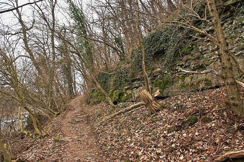 File:Wanderweg an der Enz - panoramio.jpg