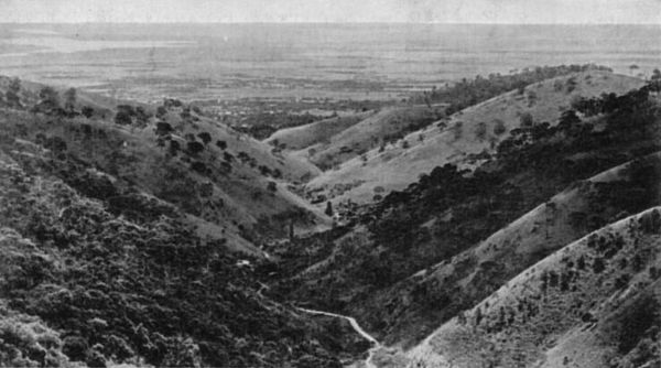 View of Waterfall Gully in South Australia, as seen from Eagle on the Hill in 1910