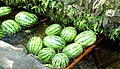 Watermelon in water