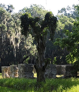 <span class="mw-page-title-main">White Hall Plantation House Ruins and Oak Avenue</span> Archaeological site in South Carolina, United States