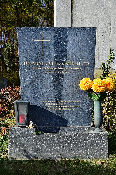 File:Wiener Zentralfriedhof - Gruppe 40 - Grab von Adalbert von Mikulicz.jpg