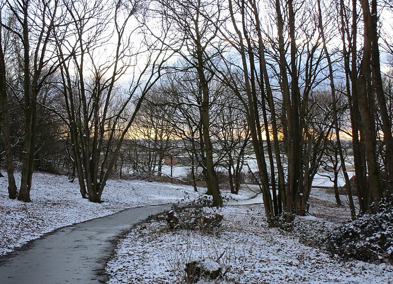 File:Winter in Foxhills Plantation - geograph.org.uk - 5693654.jpg