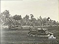 AITAPE, NORTH EAST NEW GUINEA. 1944-02-25. RAAF GROUND FORCES WHO WENT IN WITH AMERICAN STORM TROOPS WERE WORKING ON THE AIRSTRIP AT TADJI A FEW HOURS AFTER ITS CAPTURE. HERE THEY ARE USING HEAVING EQUIPMENT TO LEVEL AND HARDEN THE STRIP SURFACE ON THE MORNING OF THE SECOND DAY.