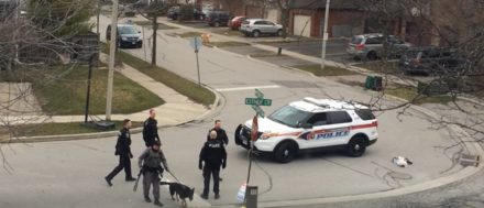 K9 units search for a missing person in York Region, Ontario.