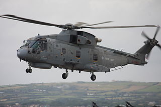 824 Naval Air Squadron