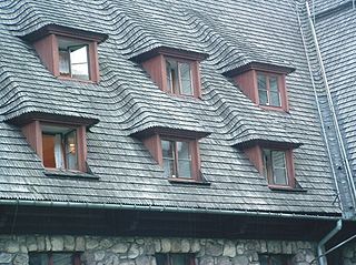 Roof shingle Overlapping plates for covering a roof