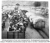 독일령 남서아프리카: 역사, 나마쿠아 헤레로족 대학살, 1차 세계대전