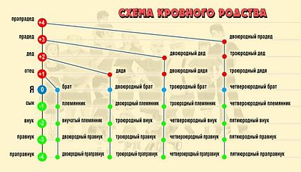 Как составить генеалогическое древо семьи: шаблоны и советы | ФотоМАСТЕР | Дзен