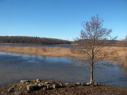 Ågestasøen ind løben 2008-3. jpg