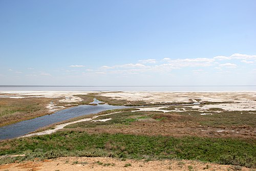 Эльтон палласовка