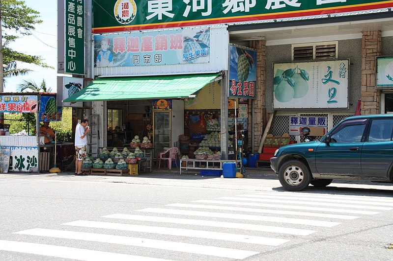 File:2010 07 15390 5473 Donghe Township, Taiwan, Highway 11 (Taiwan), Shops in Donghe, Taiwan.JPG